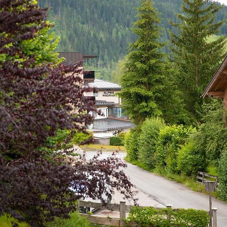 Pension Mozart Ваграйн Екстериор снимка